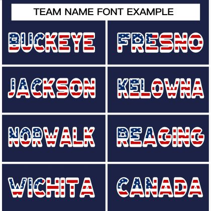 Custom Brand American Flag Authentic Baseball Jersey CS-1040-24 (1)